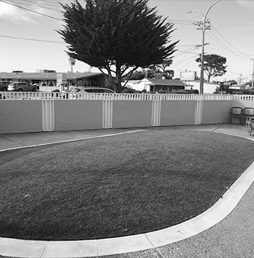 Welcome To Pacific Inn Monterey - Dog Play Area