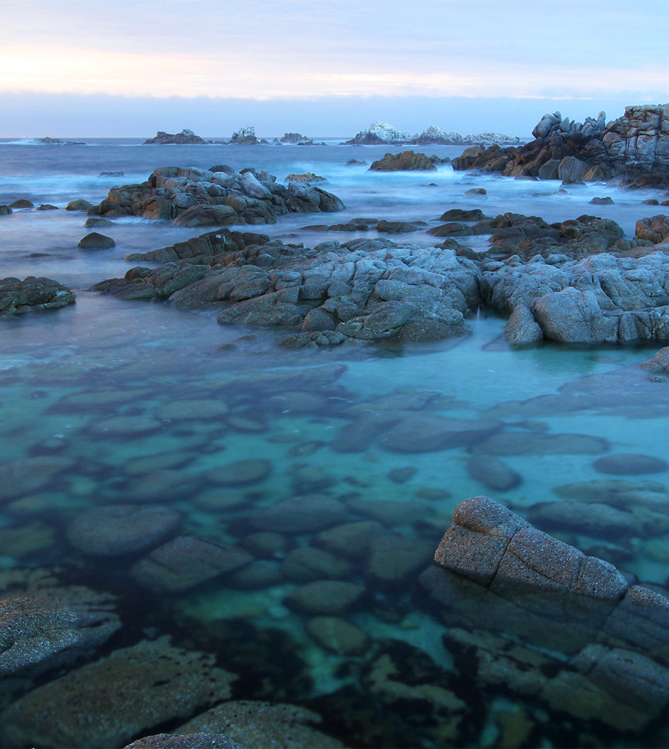 Pacific Inn Monterey Best Rates At Our Monterey Hotel Near