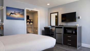 A clean hotel-style bedroom with a bed, desk area with a chair, wall-mounted TV, mini-fridge/dresser, and an open bathroom doorway, all in blue-gray tones.