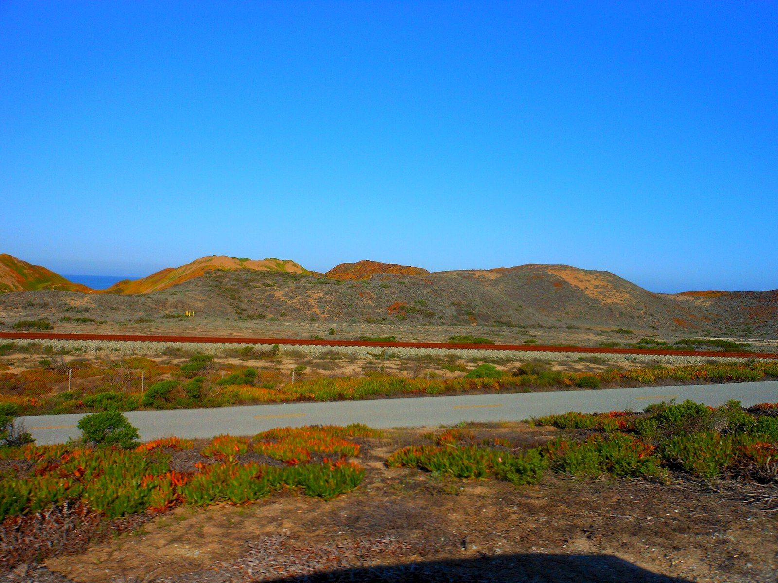 The beach and dunes at Fort Ord Dunes State Park on Monterey Bay
