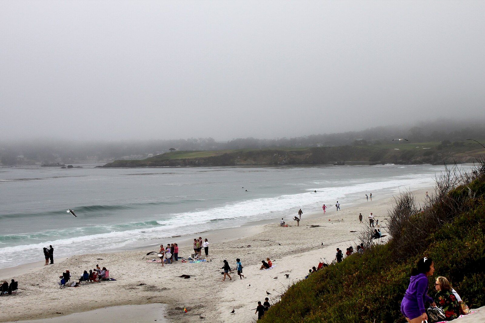 White sand and cypress trees at Carmel Beach